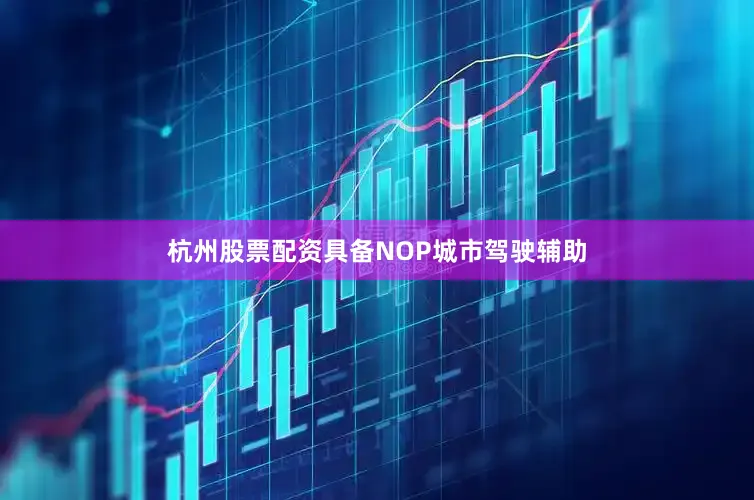杭州股票配资具备NOP城市驾驶辅助