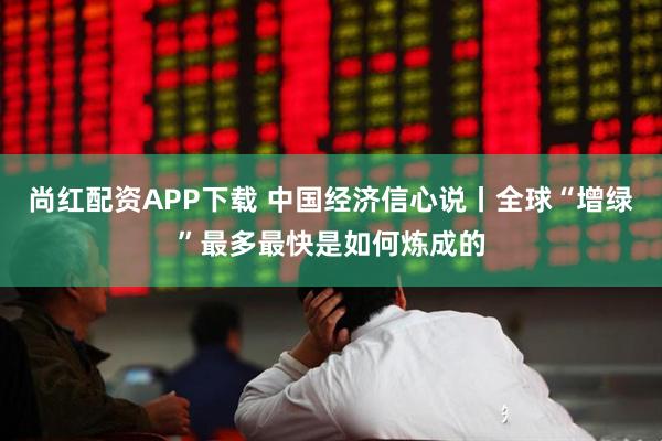 尚红配资APP下载 中国经济信心说丨全球“增绿”最多最快是如何炼成的