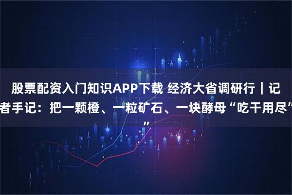 股票配资入门知识APP下载 经济大省调研行｜记者手记：把一颗橙、一粒矿石、一块酵母“吃干用尽”