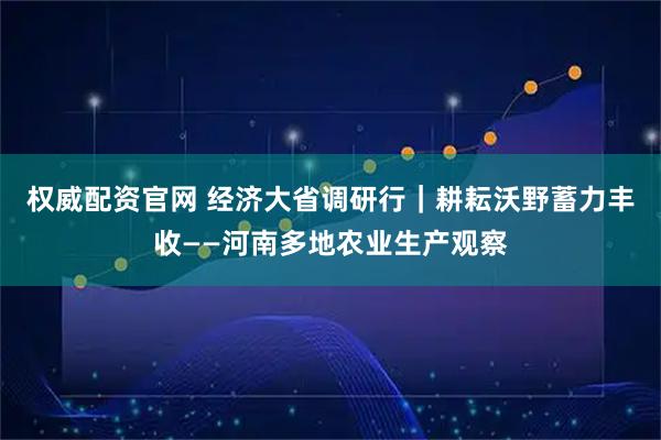 权威配资官网 经济大省调研行｜耕耘沃野蓄力丰收——河南多地农业生产观察
