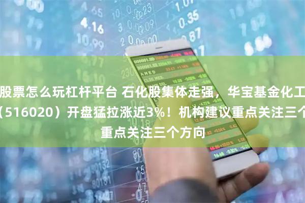 股票怎么玩杠杆平台 石化股集体走强，华宝基金化工ETF（516020）开盘猛拉涨近3%！机构建议重点关注三个方向