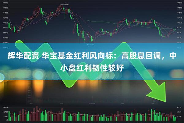 辉华配资 华宝基金红利风向标：高股息回调，中小盘红利韧性较好